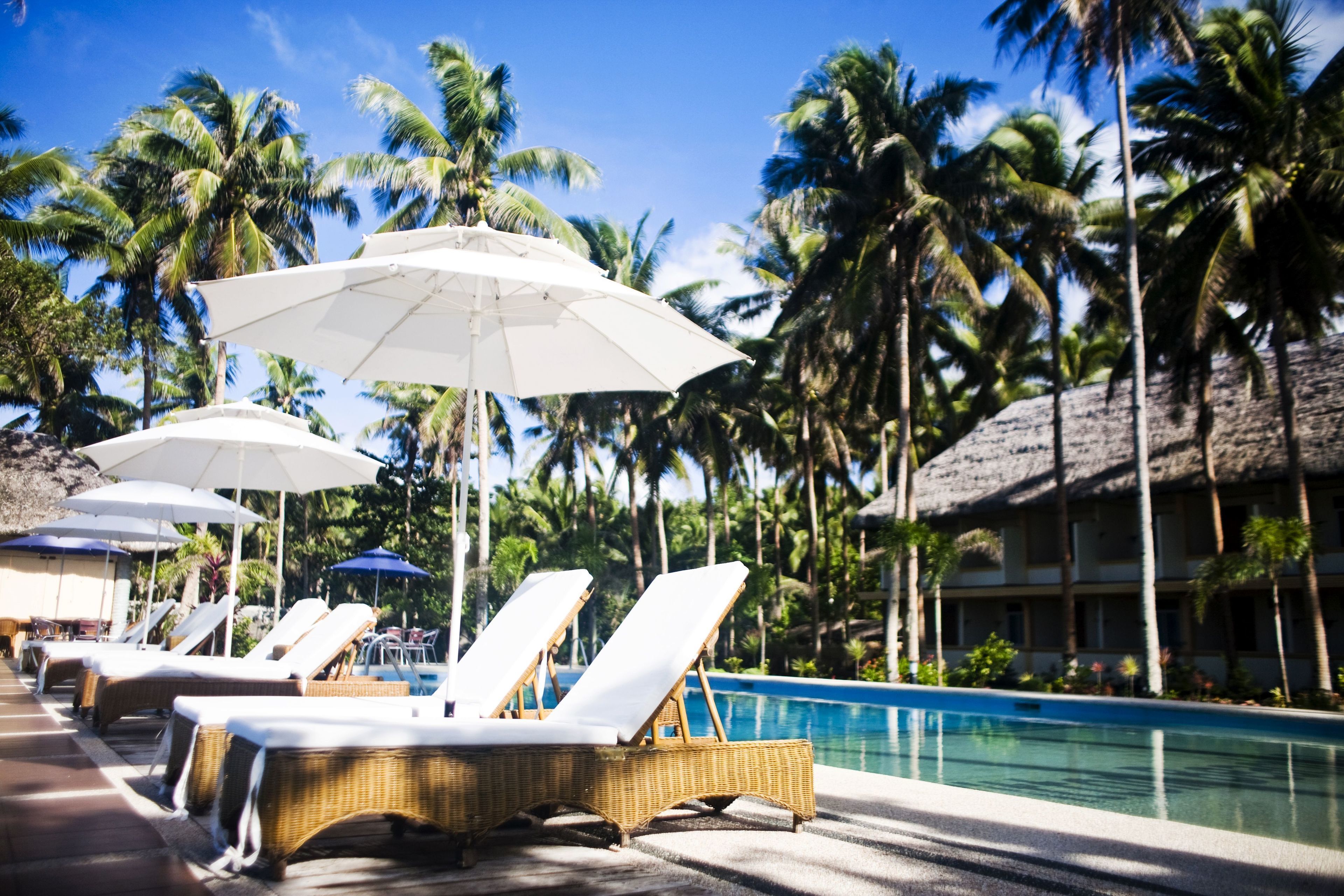 Outdoor pool, sun loungers