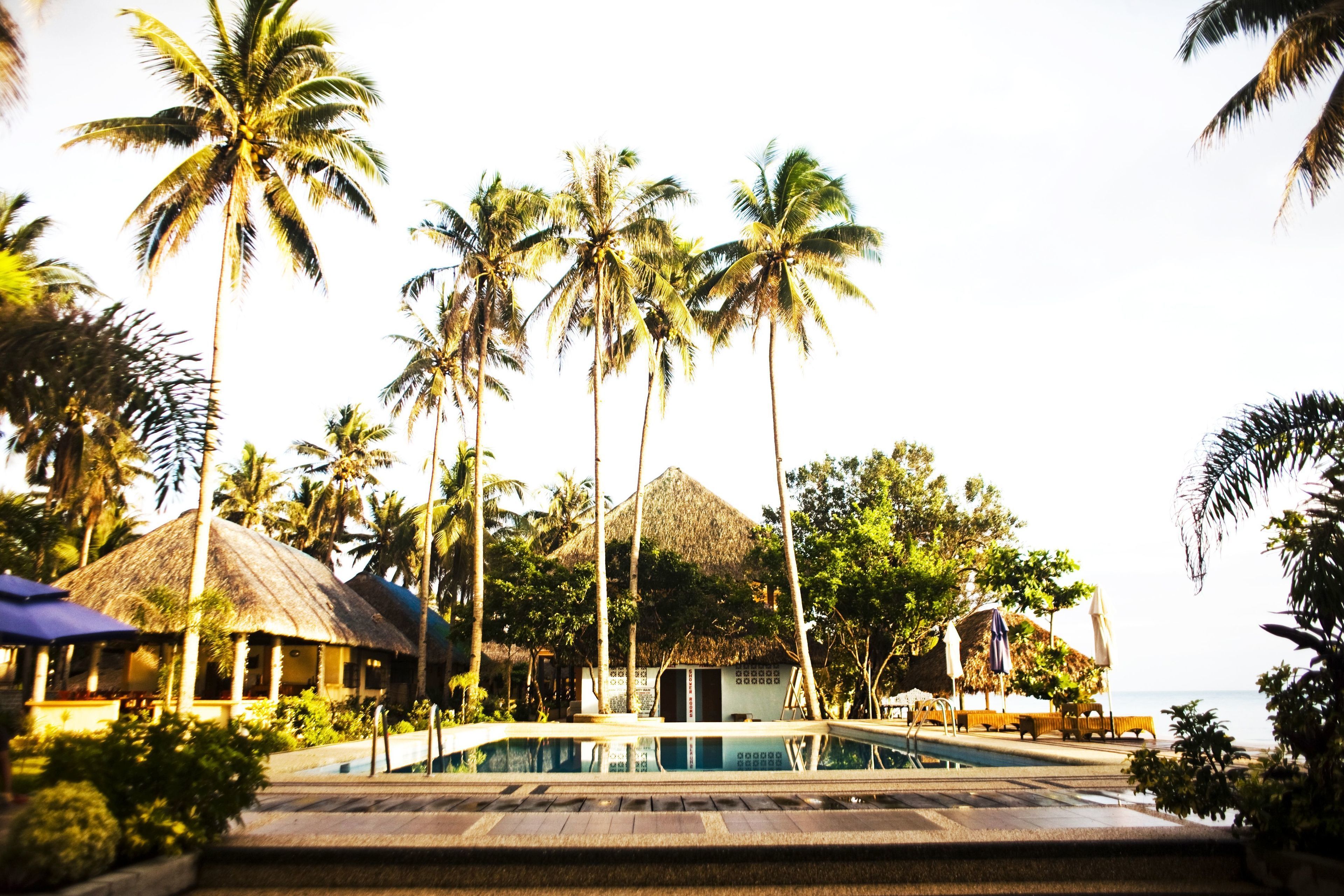 A resort with a pool, palm trees, and thatched-roof huts.