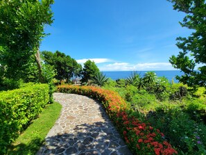 Vue sur la campagne depuis l’h�ébergement