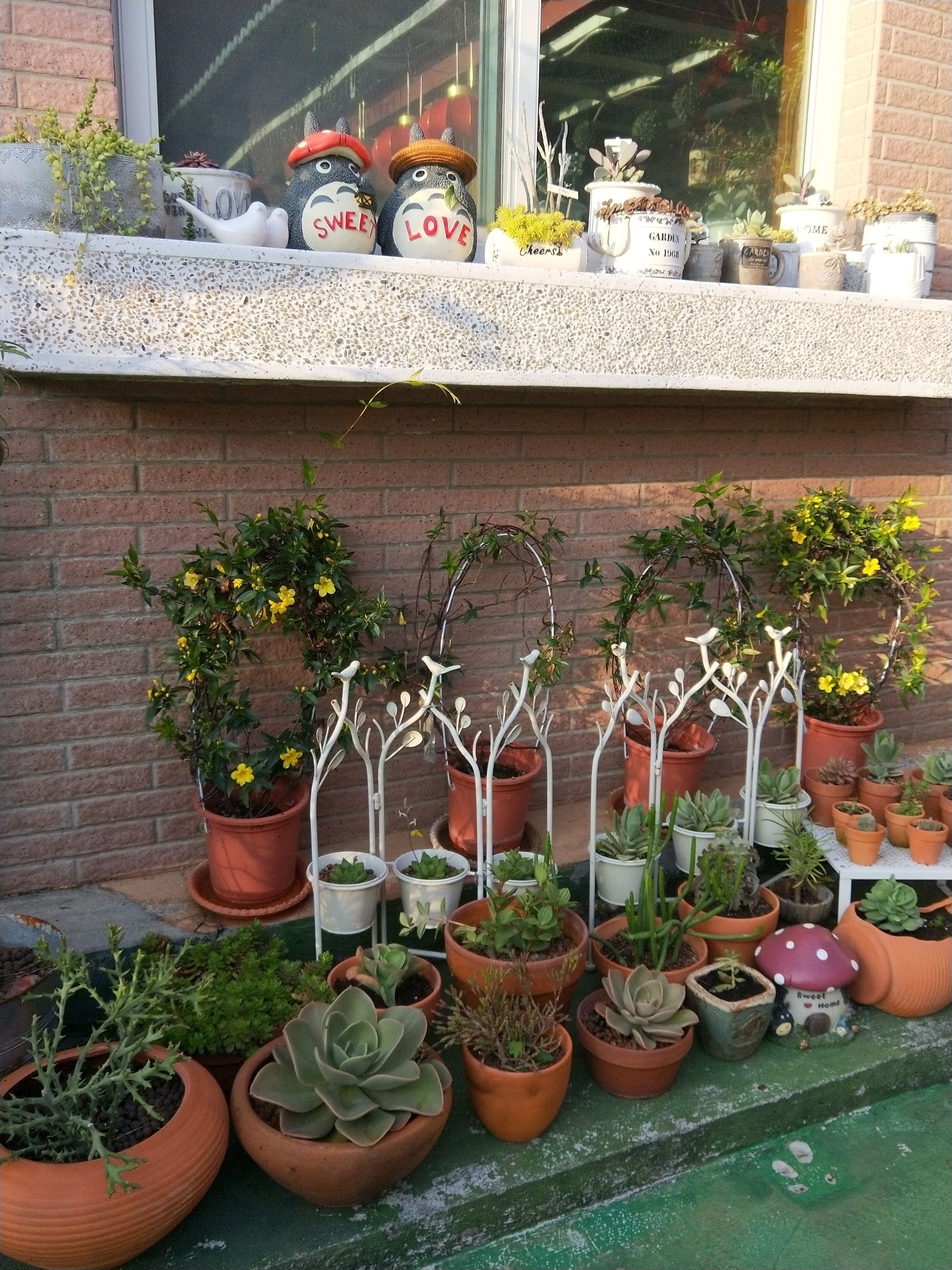 A variety of potted plants arranged on a ledge and table against a brick wall.