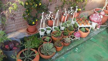 A variety of potted plants arranged along a brick wall and a green surface.
