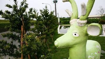 Double Room | Property grounds