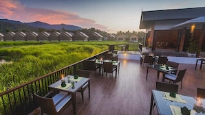 Phục vụ bữa trưa và bữa tối 