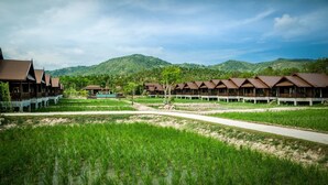 Cảnh từ trên cao