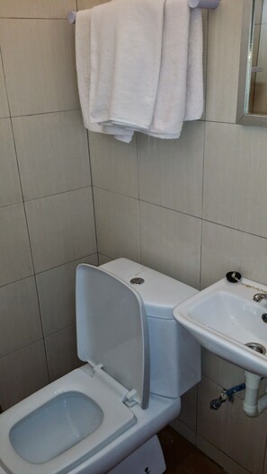 A bathroom with a toilet, a sink, and a towel rack. - Cenang Valley Inn (Langkawi)
