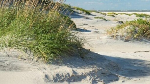 A sandy beach with dunes and sparse vegetation. - Inn-Seaclusion: Elevator, Private Pool & Hot Tub, Theater Room (Corolla)