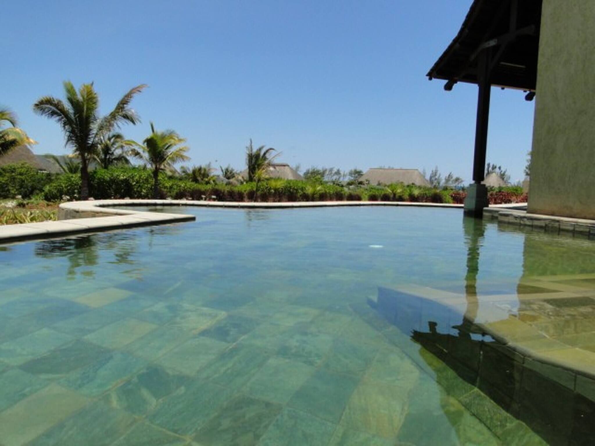 Piscina cristalina con solárium de azulejos, rodeada de palmeras y un edificio con tejado oscuro.