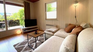 TV, fireplace, video library