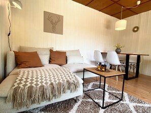 Fernseher, Kamin, Videothek