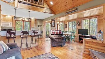 Télévision, cheminée, jeux vidéo, lecteur de DVD