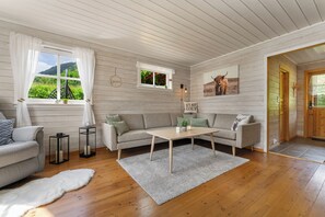 Smart TV, fireplace, stereo