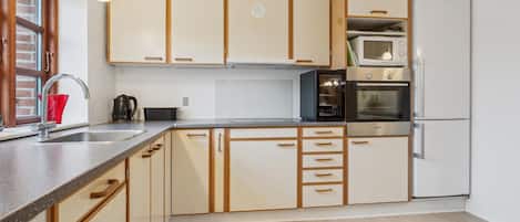 Fridge, oven, stovetop, dishwasher