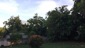A grassy yard with a small bush of red flowers and a tree with dense foliage. - Location Saisonnière Grand Espace Familial. Plage, Activités Nautiques à 5 mn (Le Moule)