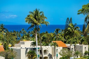 A coastal hotel with multiple buildings, palm trees, and a view of the ocean.