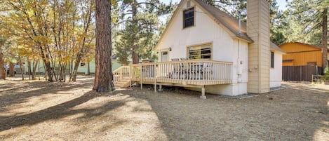 A single-story house with a porch, surrounded by trees.