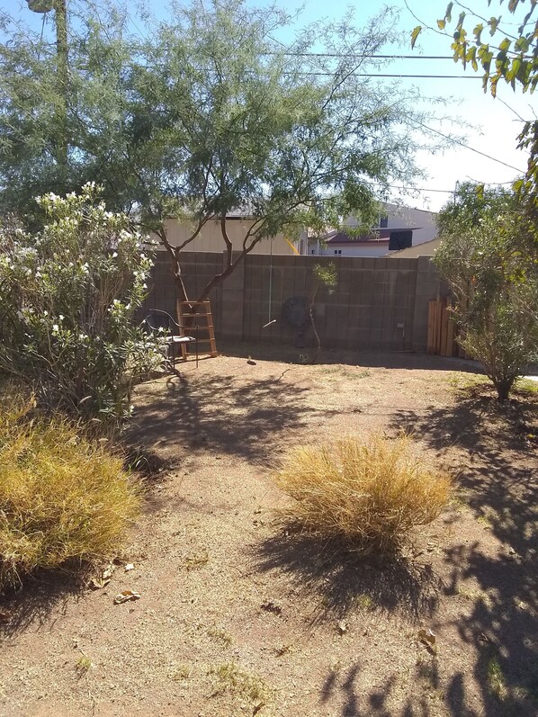 Property grounds - House in Mesa 45 minutes to chase field, 1:15 minutes to Glendale stadium (Mesa)