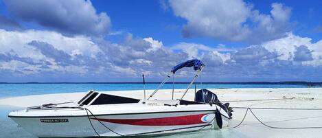 Un bote con una placa de registro en una playa arenosa, con agua azul cristalina y cielo parcialmente nublado.