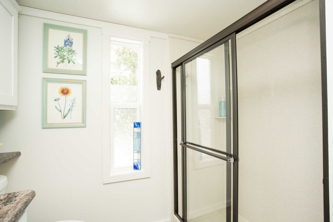 A bathroom with a shower, a window, and framed botanical prints on the wall.