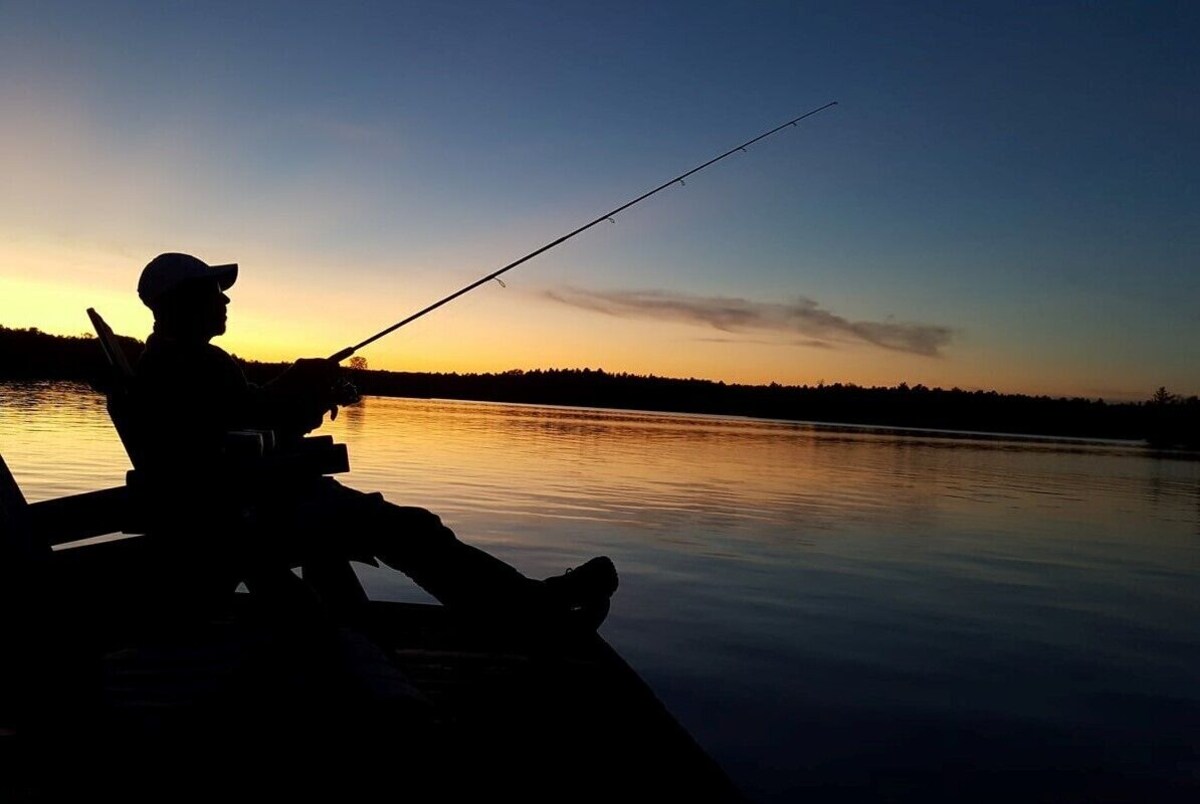 Imagen de perfil del propietario o de la propietaria