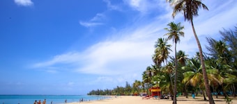 Private Pool. 3 min to "El Yunque"/Casa Sophia