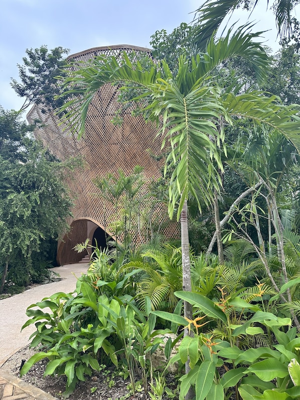 A garden with a wooden lattice structure, various tropical plants, and a concrete pathway.