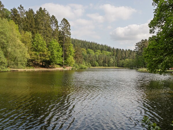 A calm lake surrounded by dense forest. - Aneths Annex (Drybrook)