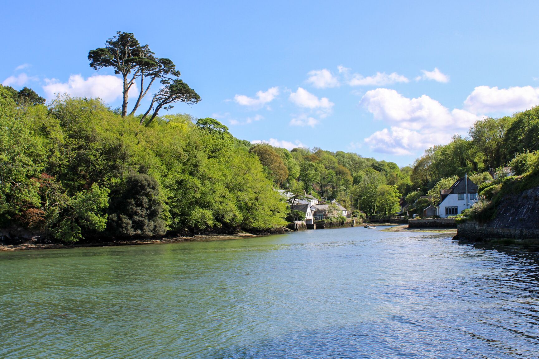 A river with houses on the banks, surrounded by dense green foliage.