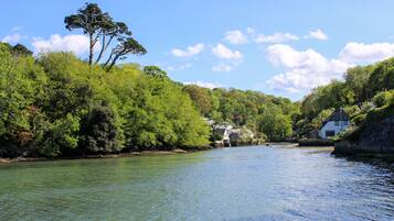 A river with houses on the banks, surrounded by dense green foliage.