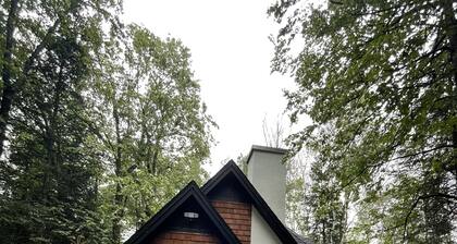 Cabin on the Boardman River
