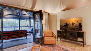 تلفزيون، ستيريو