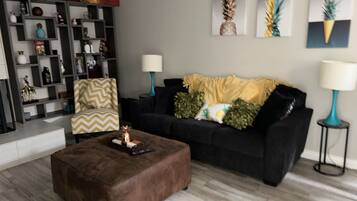 Smart TV, fireplace, DVD player, books