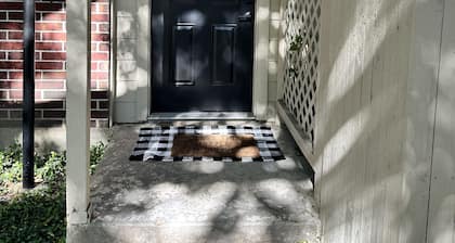 Cozy Condo near NRG/Med Center