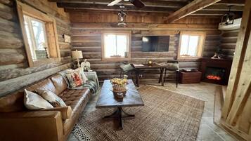 Smart TV, fireplace, books