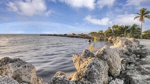 Un paysage côtier avec une rive rocheuse, des palmiers et une mer calme sous un ciel partiellement nuageux.