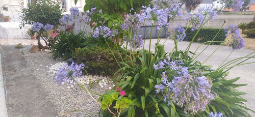 Ideal Para Todo Tipo de Familias