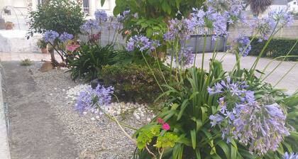 Ideal Para Todo Tipo de Familias