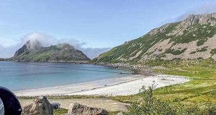 Pet friendly home in Straumsjøen