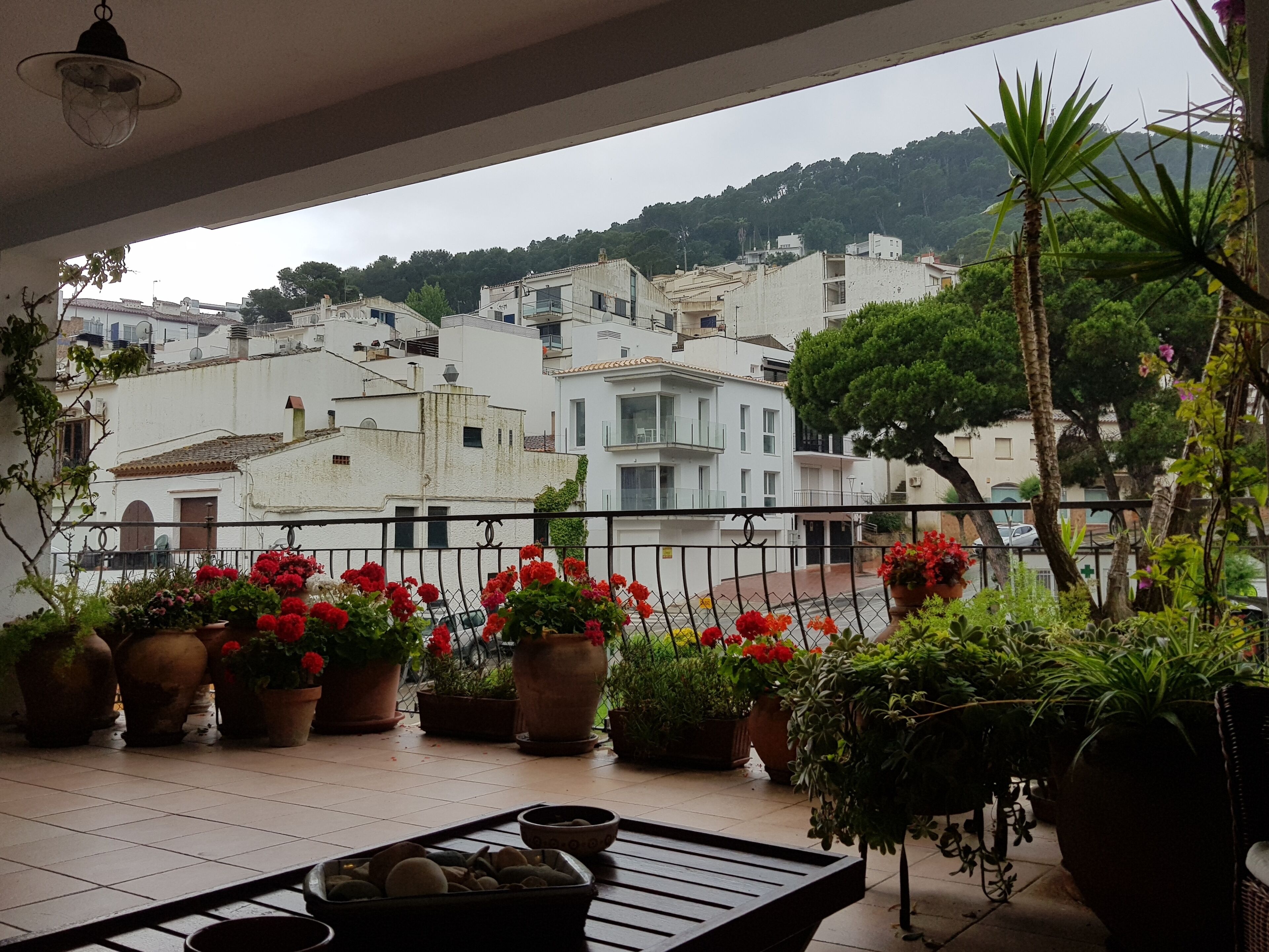 Àrea exterior de l'allotjament