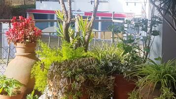 Àrea exterior de l'allotjament