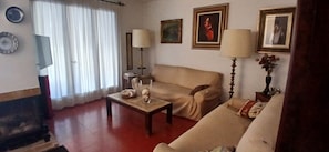 Smart TV, fireplace, DVD player, books