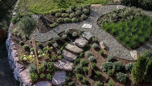 Een aangelegde tuin met verschillende planten en rotsen.