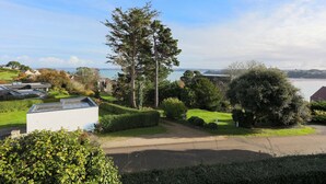 A residential area with a large tree, a white building, and a view of the sea.