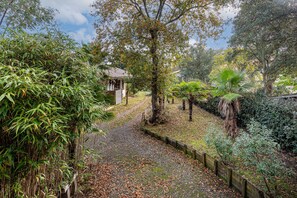Uma trilha leva a um edifício cercado por vegetação densa e diversas plantas.
