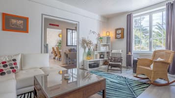 Télévision, cheminée, chaßne hi-fi