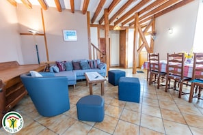 Télévision, cheminée, lecteur de DVD, table de tennis de table