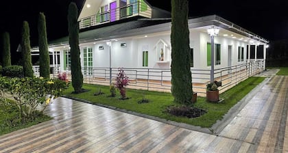 TECHO VERDE