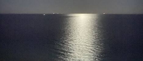A nighttime view of a beach with a calm sea reflecting the moonlight.
