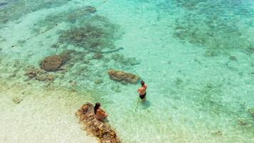 A clear view of a beach with visible rocks and calm water.