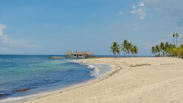 On the beach, sun-loungers