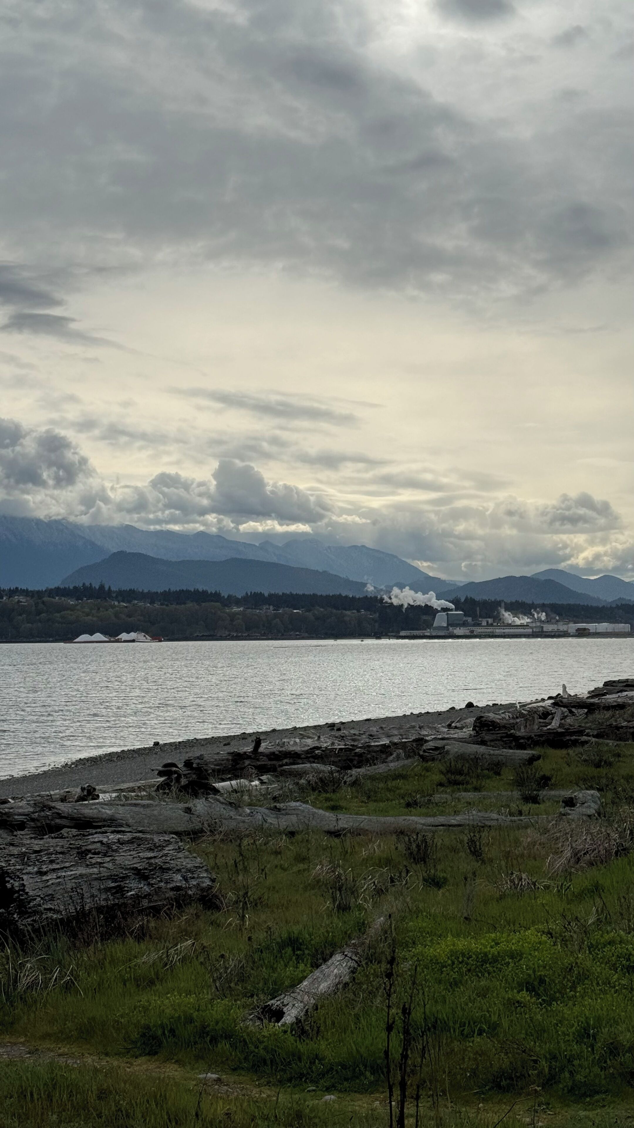 A coastal landscape with a body of water, rocky shoreline, and distant mountains under a cloudy sky.